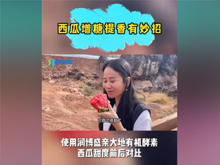 西瓜增糖提香有妙招，使用潤(rùn)博盛親大地有機(jī)酵素，西瓜甜度前后對(duì)比