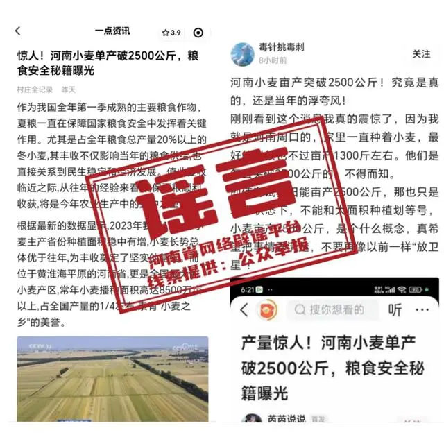 河南小麥單產(chǎn)破2500公斤為不實信息